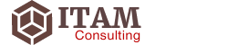 ITAM Consulting for ServiceNow platform