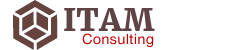 ITAM Consulting for ServiceNow platform